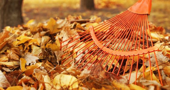 grb copy 2 grb copy 2