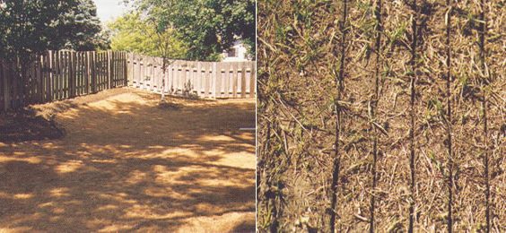 case-study-1 case-study-1